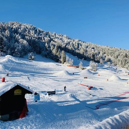Apartment In Morzine - Ski In - Sleeps 6 Kültér fotó